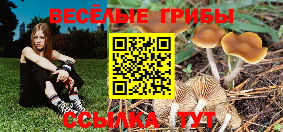 Чехов  Галлюциногенные грибы мицелий  Вход с VPN 