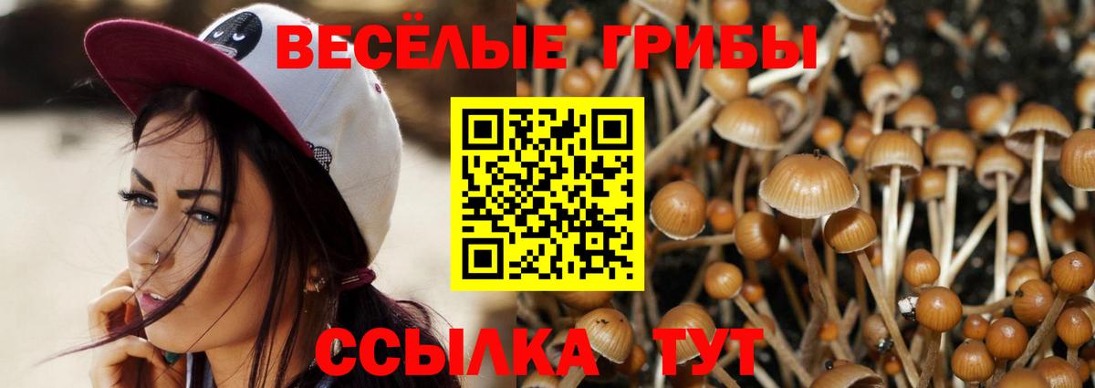 Псилоцибиновые грибы ЛСД Чехов